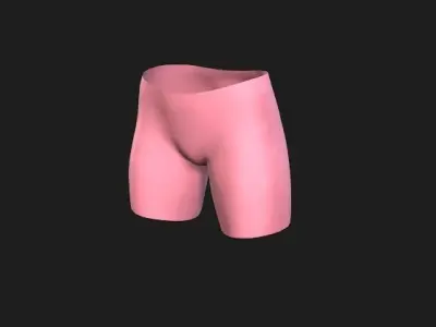 Knicker 3D model