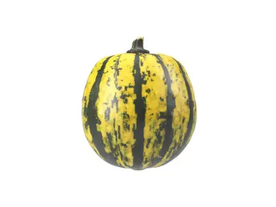 Photorealistic Decorative Gourd 3D Scan 2 3D model