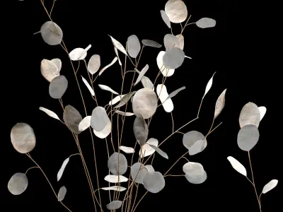 Bouquets Of Dried Flowers Lunaria In Vases 3D model