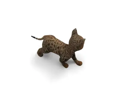 3d  Cat Animated Rigged low poly  Low-poly 3D model