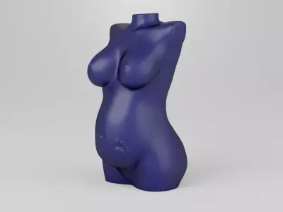 Female torso 2 3D print model