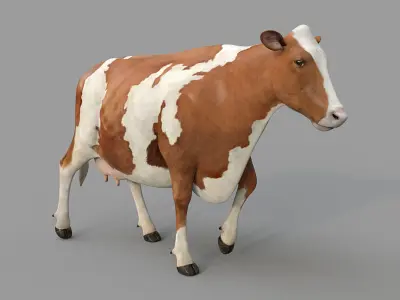 Cow PRO - Ayrshire  3D model