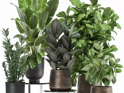 Plants in a rusty flowerpot for the interior 1042 3D model