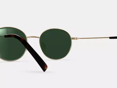 Merrick Sunglasses in Polished Gold 3D model