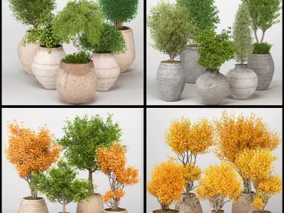 Indoor Plants collection 03