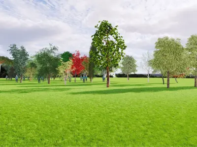 22 Trees - Pack  3D model 3D model