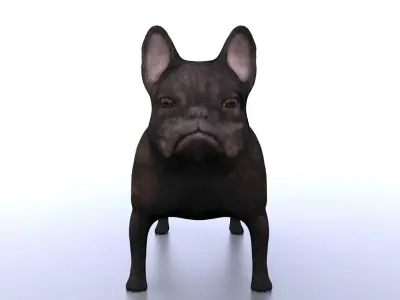 French Bulldog 3D model