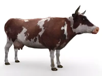 Dairy Cow Low-poly 3D model