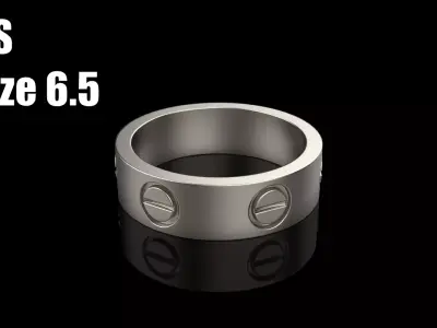 Ring model 566 3D print model