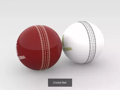 Cricket Kit Collection 3D Model Pack