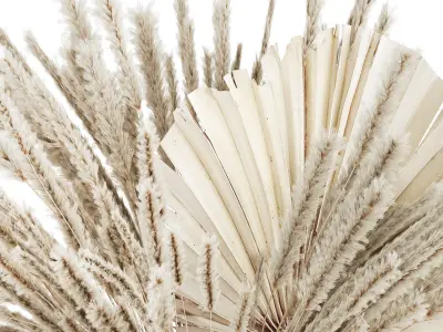 Bouquet Dried Flowers White Pampas Branches Palm 552 3D model