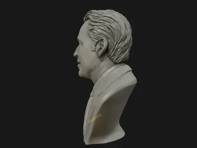 Nicolas Cage 3D printable portrait model 3D print model