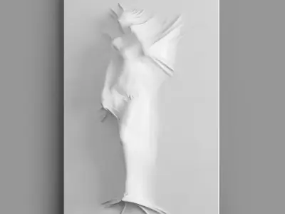 Bas relief Woman on the Wall 3D model
