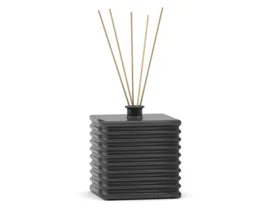 Room fragrance reed diffuser 3D model