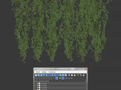 6 models of leaf ivy wall 3D model