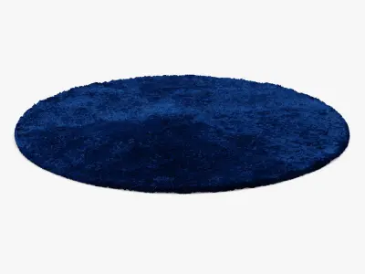 Morel Round Rug 3D model