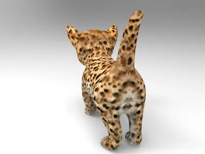 3d Cat Animated model  Low-poly 3D model