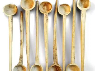 Old Bleached Wood Indian Spoons 3D model