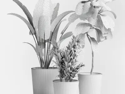 Indoor plant 21 Low-poly 3D model