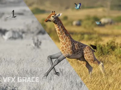Young Giraffe  VFX Grace 3D model