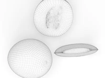 Galia melon 3D model