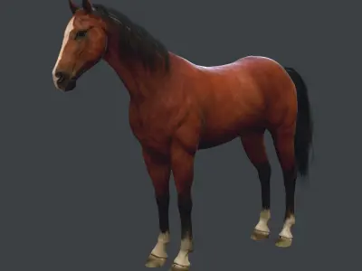 Game Horse up Low-poly 3D model