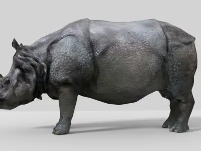 Photorealistic low-poly model rhinoceros Low-poly 3D model