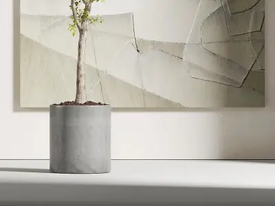 Potting decoration model monomer Plant 3D model