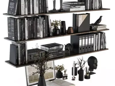 Black Decorative set on shelves 3D model