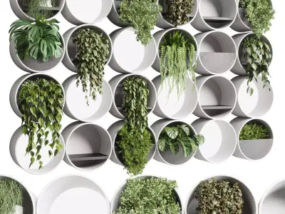 wall plant  set Indoor plant concrete wall vase 3D model