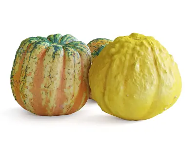 Decorative Pumpkins 3D model