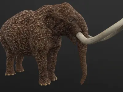 Mammut americanum Low-poly 3D model