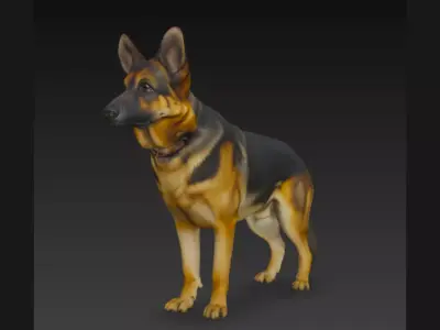 3D German Shepherd Dog Model 3D model