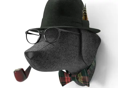 Soft Braco - Allan 3D model