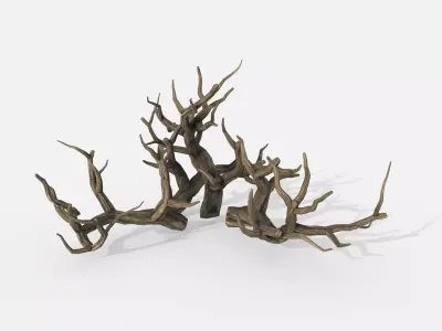 Aquarium Snag Banches V2 3D model