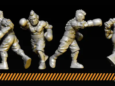 Boxers 3D print model