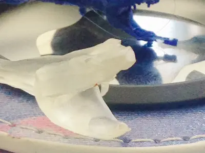 Snake resin and pla printable AAA 3D model