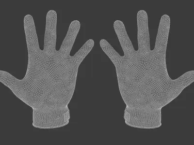 Handball Gloves 3D model