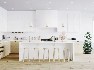 Modern Classic Kitchen Scene for 3DS Max  3D model