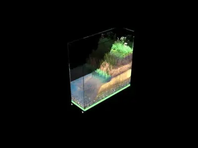diorama glass aquarium with plants in it Free 3D model