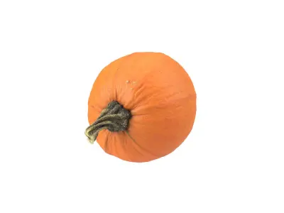 Photorealistic Decorative Gourd 3D Scan 3 3D model