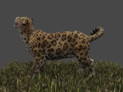 Jaguar  3D model
