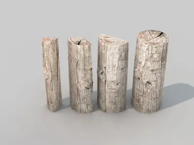Firewood Nature 3D model