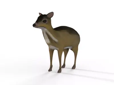  sang kancil Low-poly 3D model