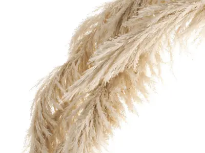 Wedding arch made of dry reeds for decor 1063 3D model