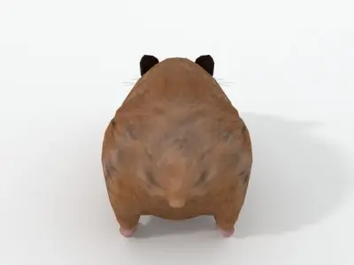 Syrian Hamster Low-poly 3D model