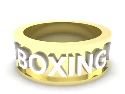 BOXING CHEMP Gold ring box 3D print model 3D print model