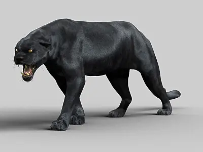 Panther-maya panther 3D model