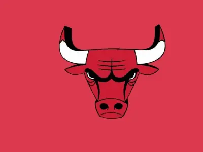Chicago Bulls Team Logo 3D model