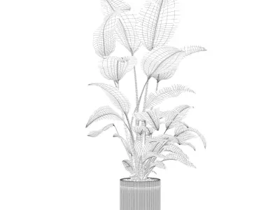 Strelitzia in biedge flowerpot 3D model